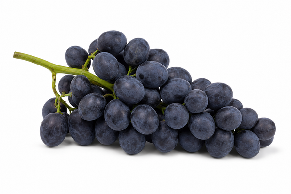 Weintraube Malbec