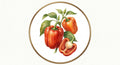 Paprika