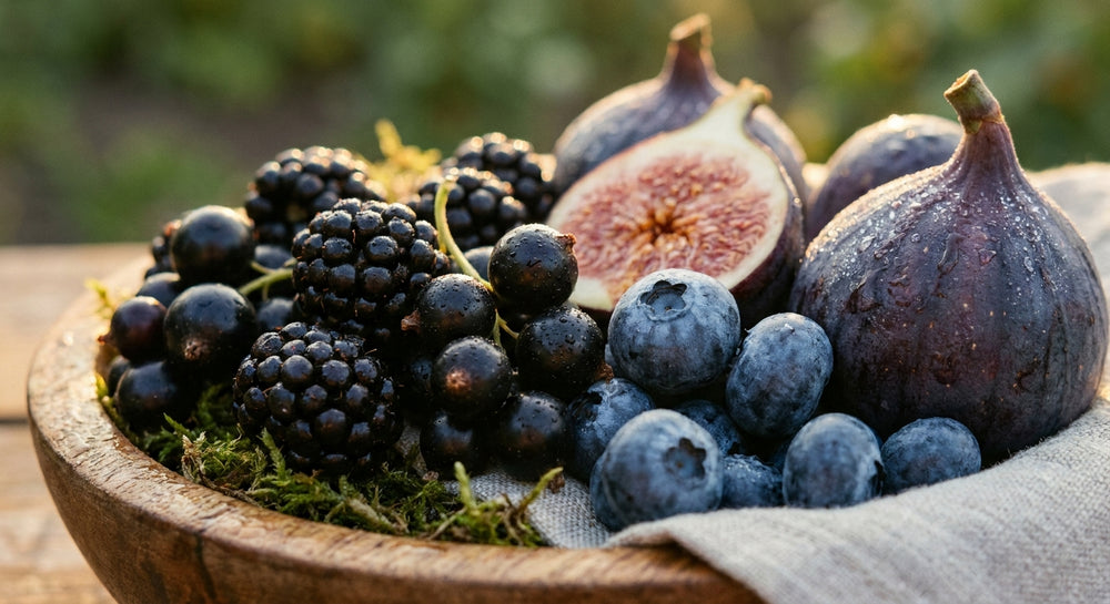 Visualisierung von schwarze Früchte