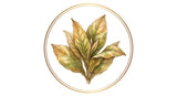Tabak Icon