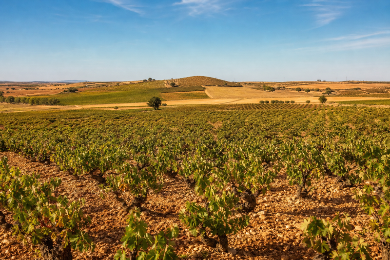 Toro Weinregion Landschaftsbild