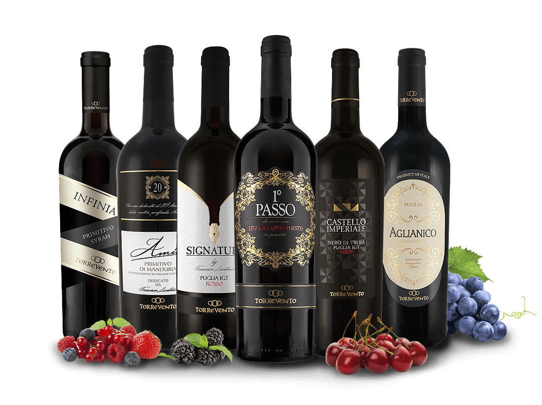 Die besten Rotweine von Torrevento 011837 ebrosia Weinshop DE