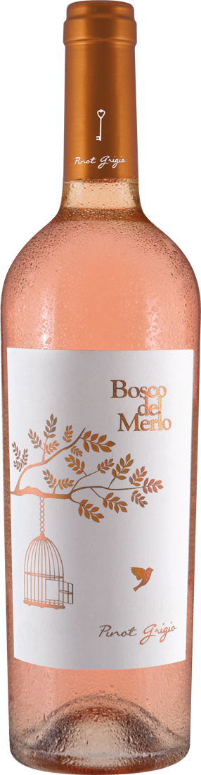 Bosco del Merlo Pinot Grigio Rosé DOC 2022 011119 ebrosia Weinshop DE
