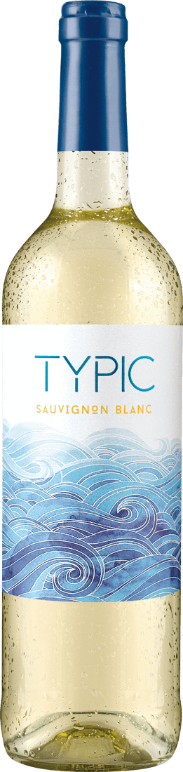 Domaine de Cambos TYPIC Sauvignon Blanc 2021 014257 ebrosia Weinshop DE