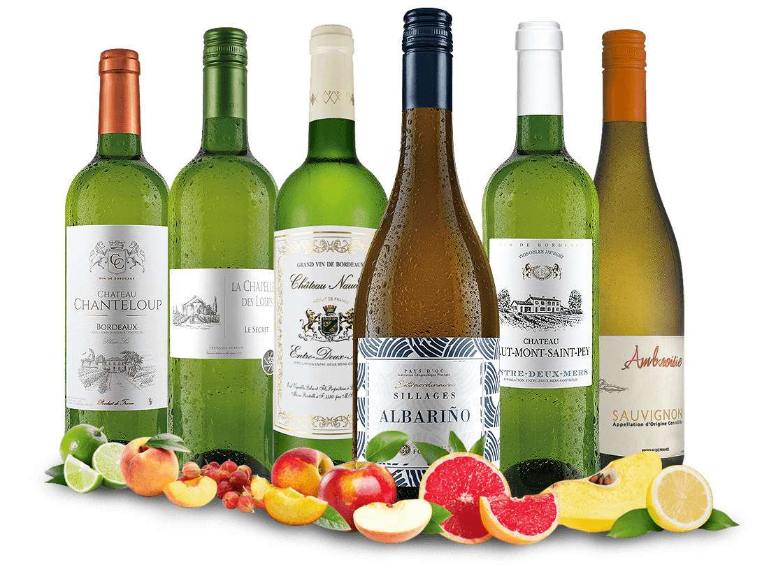 Probierpaket Frankreichs beste Weißweine 013694 ebrosia Weinshop DE