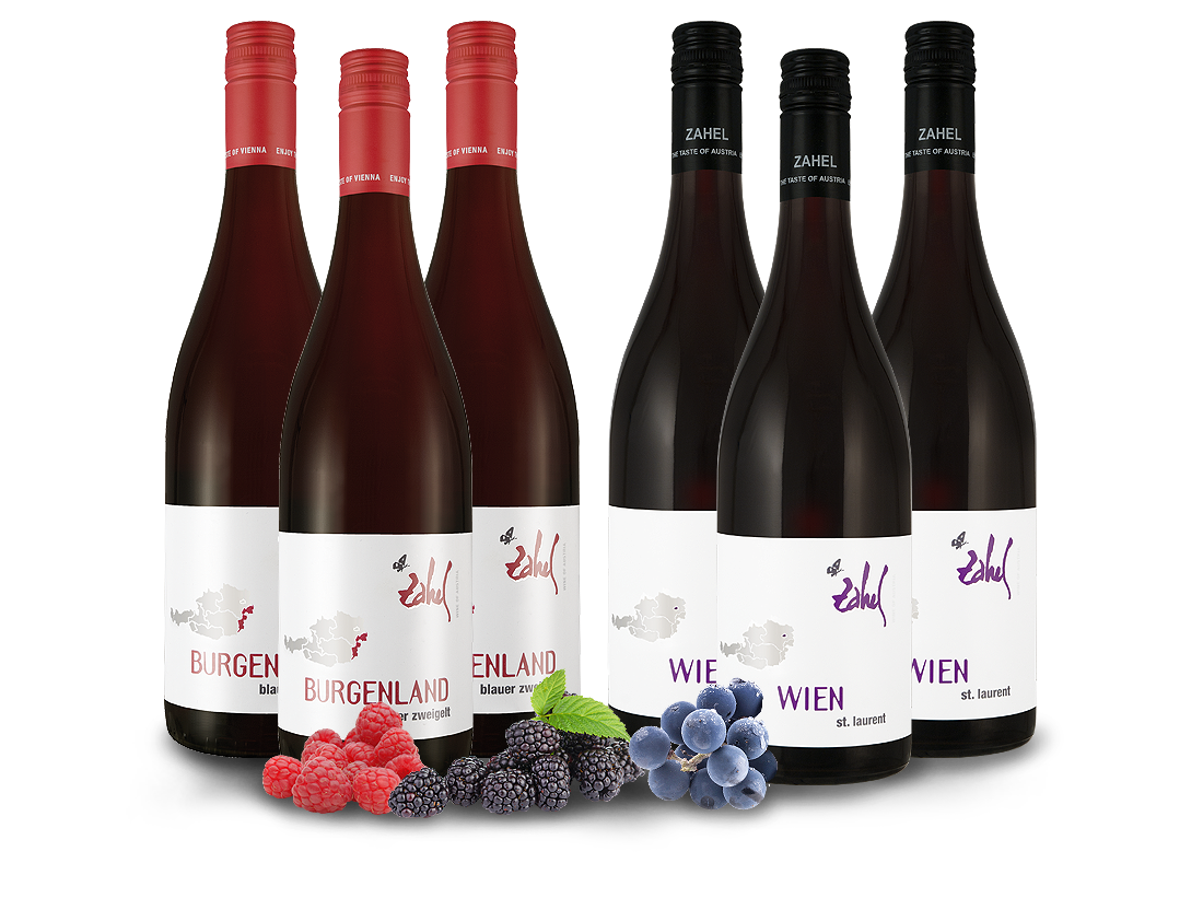 Probierpaket 6 Flaschen Rotweine vom Weingut Zahel12,20â‚¬ pro l