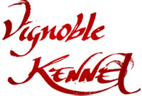 Vignobles Kennel