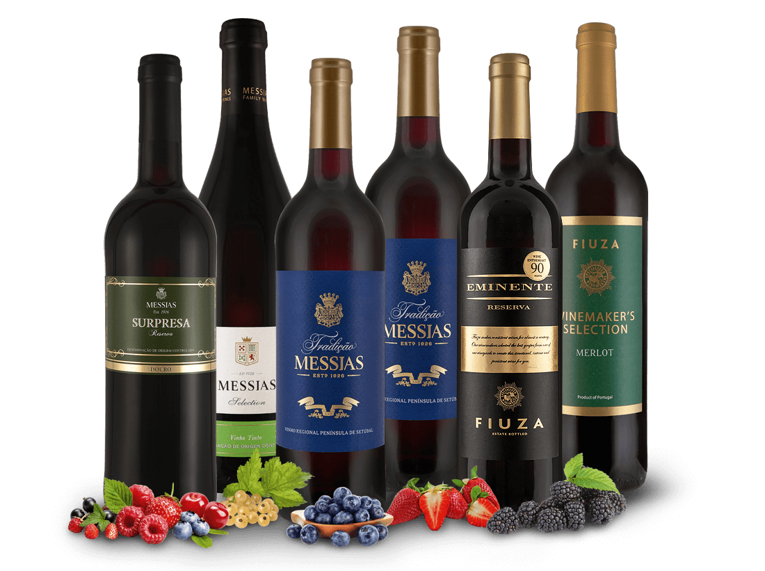 Probierpaket für Portugal-Entdecker 013235 ebrosia Weinshop DE