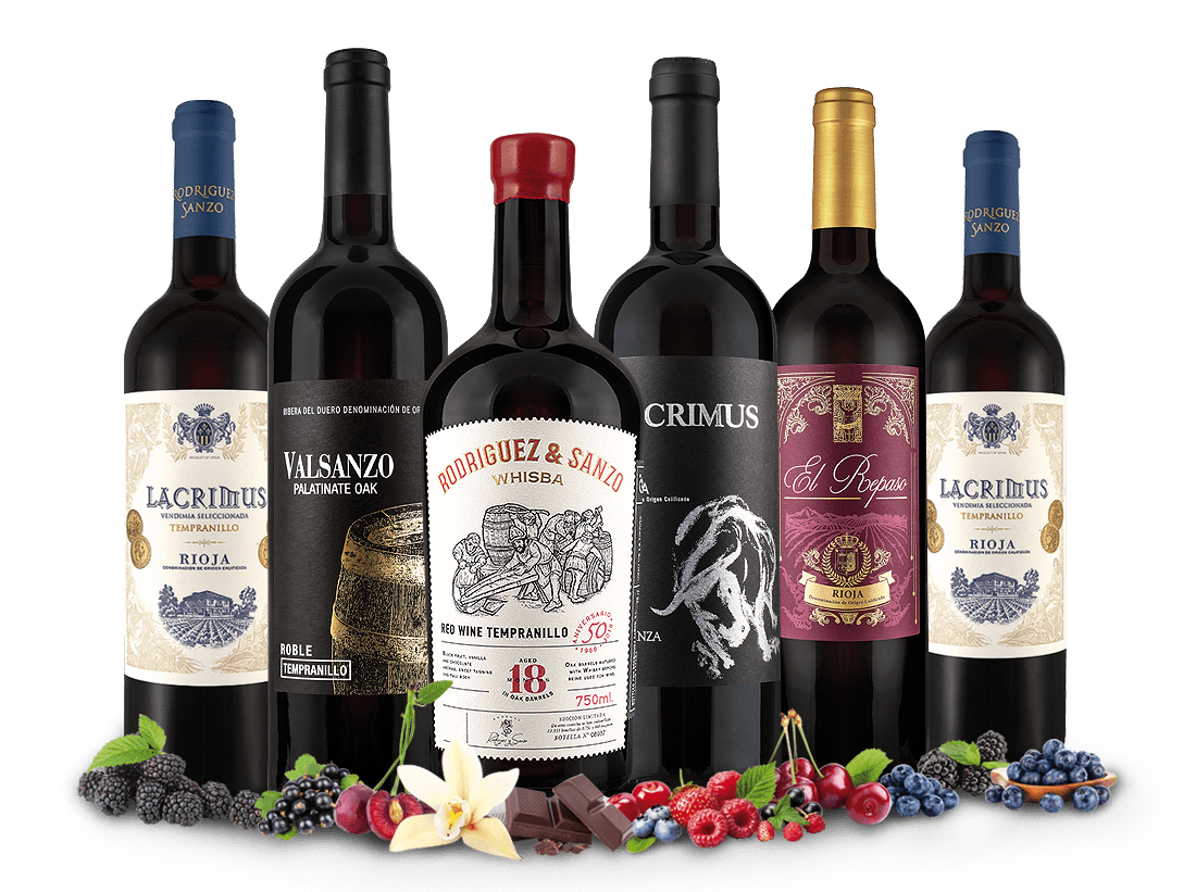 Probierpaket Rotwein-Genuss von Javier Rodriguez 013431 ebrosia Weinshop DE