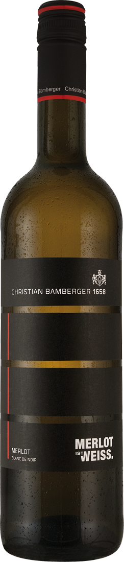 Christian Bamberger Merlot Blanc de Noir 2022 010314 ebrosia Weinshop DE