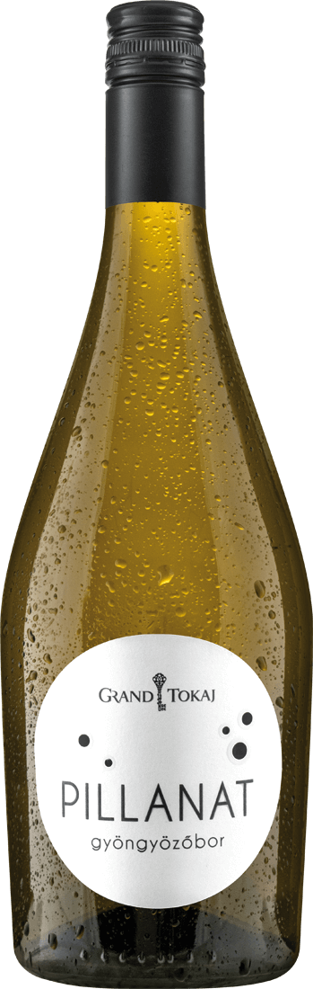 Grand Tokaj Pillanat Cuvée 2022 014799 ebrosia Weinshop DE