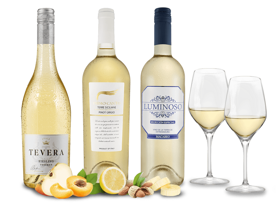 Weißwein-Frühling S mit 3 Flaschen + 2 GRATIS-Gläser 015081 ebrosia Weinshop DE