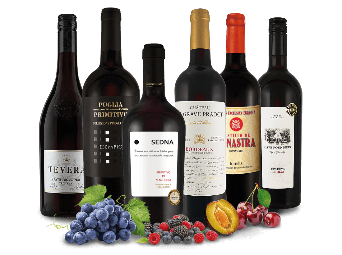 Probierpaket Trend-Rotweine der Welt 012266 ebrosia Weinshop DE