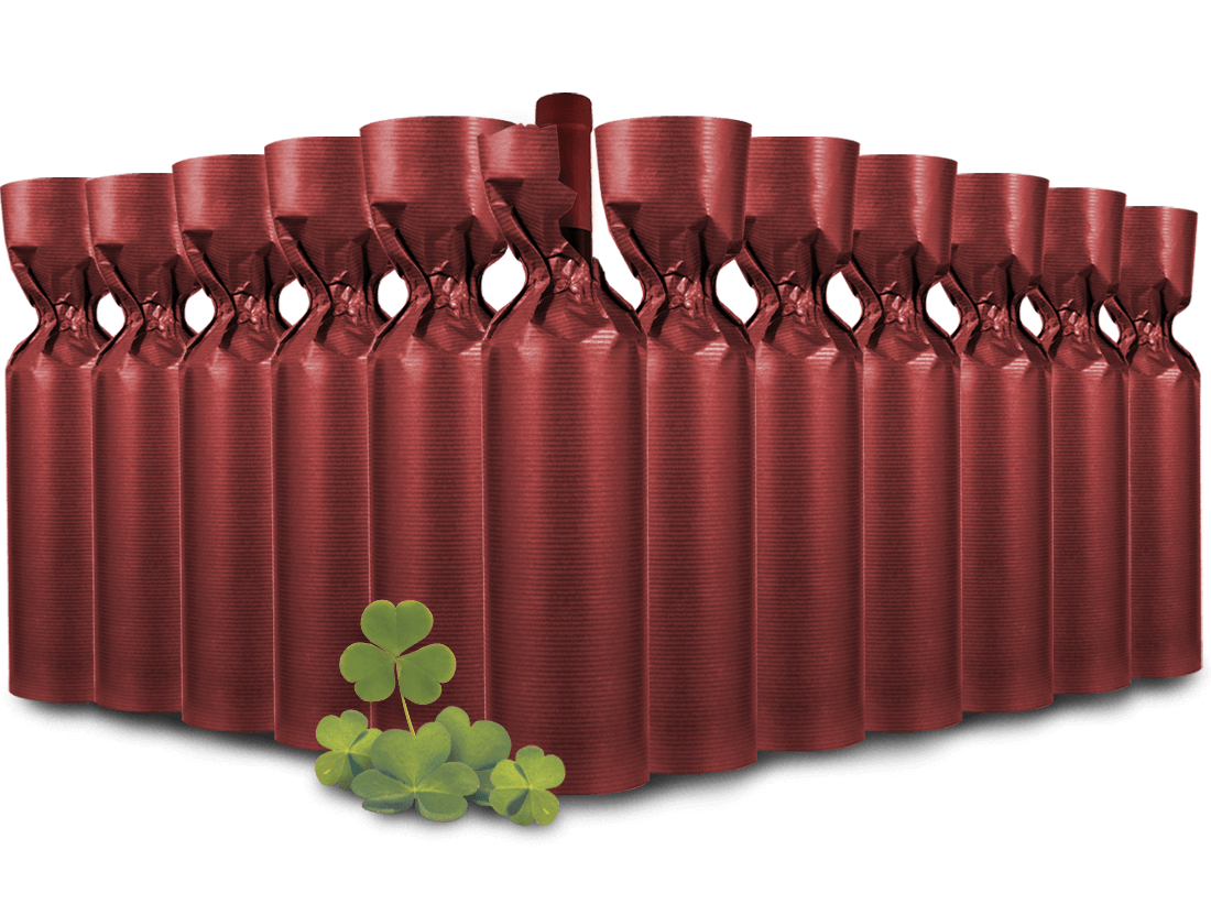Rotweinpaket für Glückspilze mit 12 Flaschen 012626 ebrosia Weinshop DE