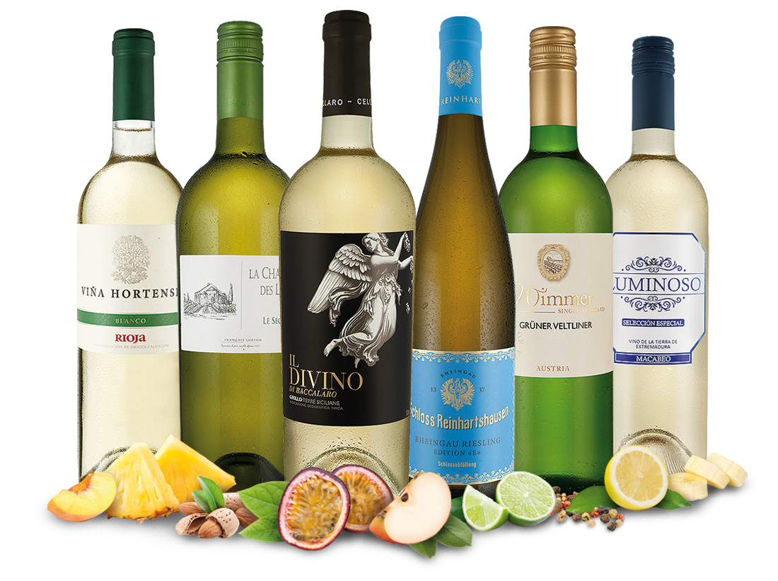 Probierpaket Weißwein-Schätze entdecken 012863 ebrosia Weinshop DE