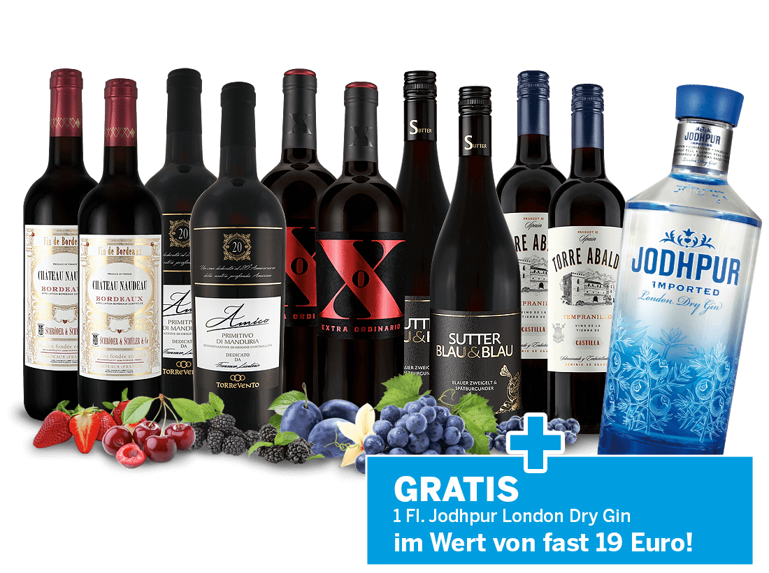 Festtagpaket Rotwein 2022 mit Gin GRATIS 014519 ebrosia Weinshop DE