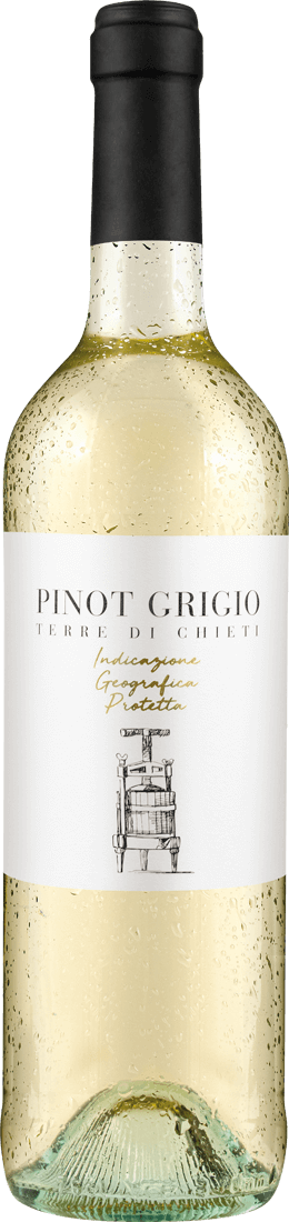 Tollo Pinot Grigio Terre di Chieti IGP 2022 012953 ebrosia Weinshop DE