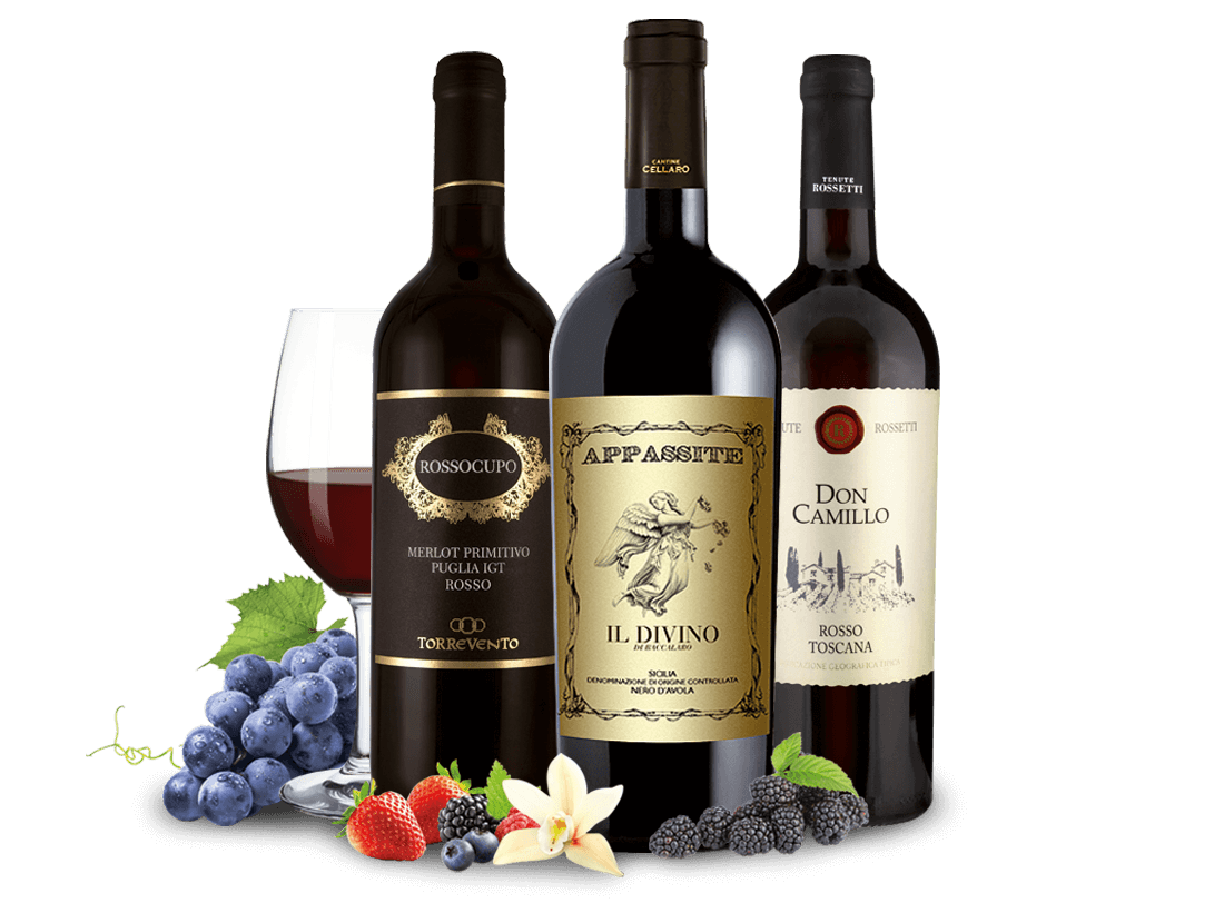 Italien Rotwein-Tipps vom Sommelier 014495 ebrosia Weinshop DE