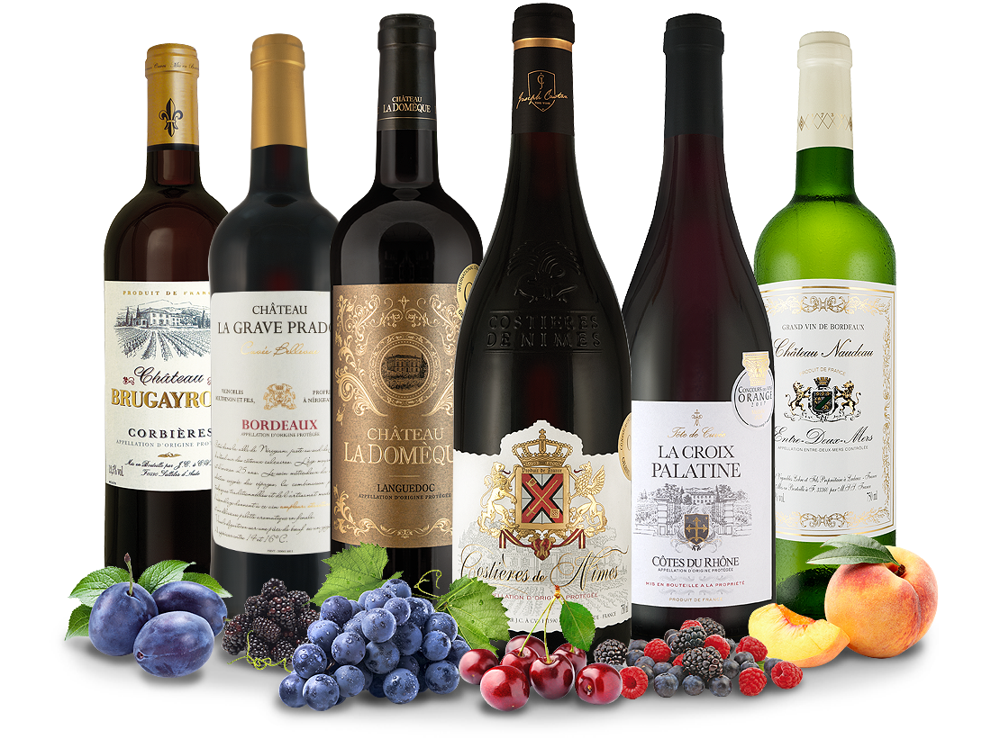Prämierte Französische Spitzenweine 007980 ebrosia Weinshop DE