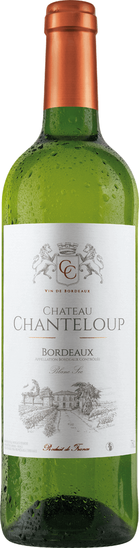 Château Chanteloup Bordeaux Blanc AOC