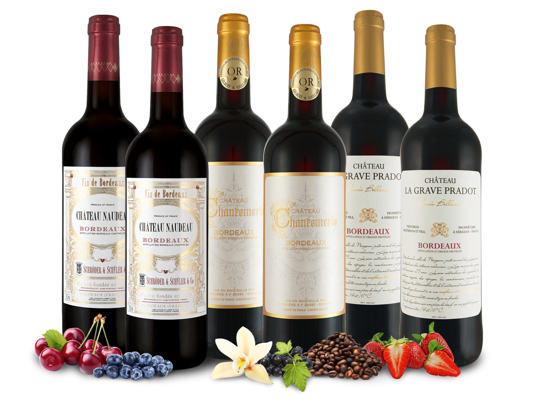 Top 3 Bordeaux-Weine 013206 ebrosia Weinshop DE